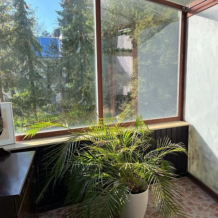 Schoene Wohnung Im Helenental Baden Exteriör bild