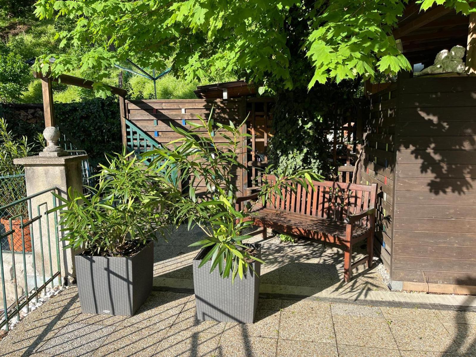 Schoene Wohnung Im Helenental Baden Exteriör bild